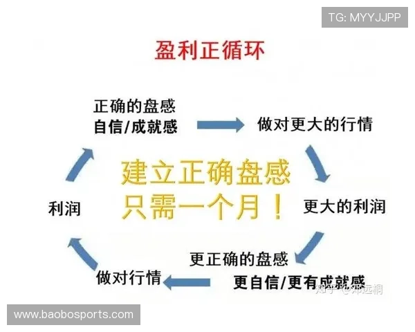 从零到稳健盈利的CBA资金管理实战入门全攻略系统方法与风险控制详解