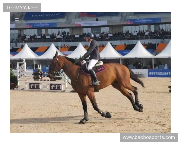 伯乐体育:创新引领体育产业发展新趋势 打造全方位体育生态系统 伯乐体育:创新引领体育产业发展新趋势 打造全方位体育生态系统